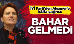 İYİ Parti'den Akşener'e istifa çağrısı: Yaz muhalefetle geçer