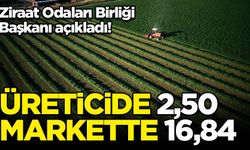 Ziraat Odaları Birliği Başkanı açıkladı! Limon üreticide 2,50 lira, markette 16,84 lira...