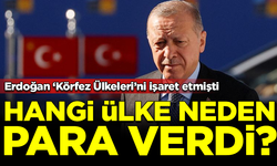Erdoğan 'Körfez ülkeleri' demişti... Türkiye'ye hangi ülke neden para verdi?