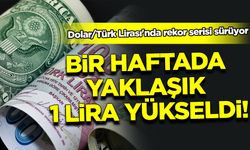 Dolar/Türk Lirası'nda rekor serisi sürüyor