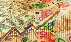 Türk Lirası dolar karşısında erimeye devam ediyor! Bu artış ne kadar daha devam edecek?