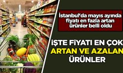 İstanbul'da mayıs ayında fiyatı en fazla artan ürünler belli oldu