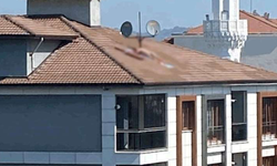 Çatıda çırılçıplak güneşlenen şahıs, apartmanın sahibi çıktı