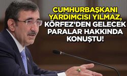 Cumhurbaşkanı Yardımcısı Yılmaz, Körfez'den gelecek paralar hakkında konuştu!