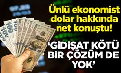 Ünlü ekonomist dolar hakkında net konuştu! 'Gidişat kötü, bir çözüm de yok'