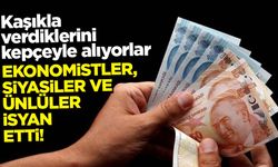 Kaşıkla verdiklerini kepçeyle alıyorlar! Ekonomistler, siyasiler ve ünlüler isyan etti