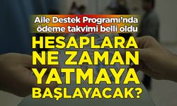 Aile Destek Programı’nda ödeme takvimi belli oldu