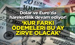 Dolar ve Euro'da hareketlilik devam ediyor! 'Kur farkı ödemeleri bu ay zirve olacak'