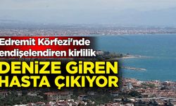 Edremit Körfezi'nde endişelendiren kirlilik: Denize giren hasta çıkıyor