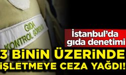 İstanbul’da gıda denetimi: 3 binin üzerinde işletmeye ceza yağdı!