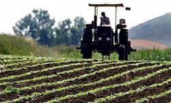 TÜİK: Tarımsal girdi fiyat endeksi kasımda arttı