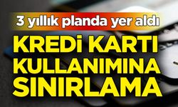 3 yıllık planda yer aldı: Kredi kartı kullanımına sınırlama