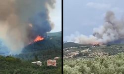 Bursa'da orman yangını çıktı! Ekiplerden havadan ve karadan müdahale...