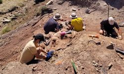İspanya'da devasa dinozor iskeleti bulundu