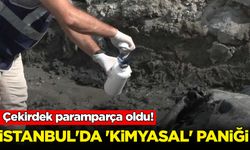 İstanbul'da 'kimyasal' paniği: Çekirdek paramparça oldu!