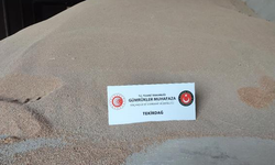 Tekirdağ'da gemiden çalınan 84 ton kaçak buğday ele geçirildi