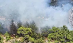 Kaş'ta orman yangını