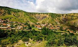 'Ağaçlara zarar verme' tartışmasında karı-kocayı tüfekle öldürüp, intihar etti