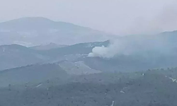 Manisa'da orman yangını! Ekipler havadan ve karadan müdahale ediyor