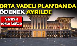 Orta Vadeli Plan'dan da ödenek ayrıldı! Saray’a rekor bütçe 