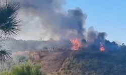 Sultangazi'de orman yangını! Havadan destek istendi