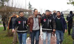 'Palu ailesi' davasında tüm sanıklara ceza