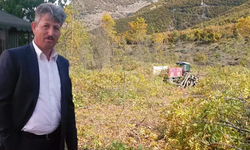 Tokat'ta korkunç olay! Ormanda odun keserken vurulup öldürüldü