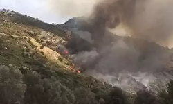 Muğla'da makilik alanda yangın! Havadan ve karadan müdahale ediliyor