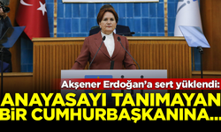 Akşener'den Erdoğan'a sert sözler: Sana kim güvensin?