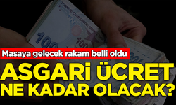 Masaya gelecek rakam belli oldu: Asgari ücret ne kadar olacak?