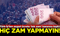 Türk-İş Başkanı'ndan asgari ücrete tek zam yapılmasına tepki: Hiç zam yapmayın