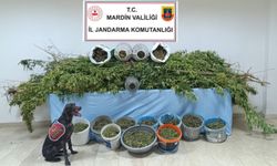 Mardin'de 'Narko Güç' operasyonunda 7 tutuklama