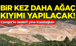Cengiz'in hedefi yine Kazdağları: Bir kez daha ağaç kıyımı yapılacak!