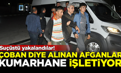'Çoban' diye Türkiye'ye gelen Afganlar, kumarhane işletiyor! Suçüstü yakalandılar
