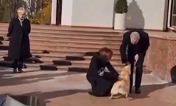 Moldova Cumhurbaşkanı'nın köpeği, konuk cumhurbaşkanını ısırdı