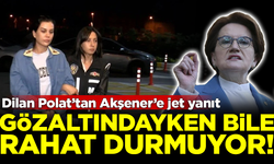 Dilan Polat'tan Akşener'e jet yanıt! Gözaltında bile rahat durmuyor