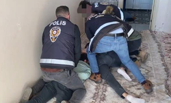 Şanlıurfa’da telefon dolandırıcılarına operasyon: 12 gözaltı