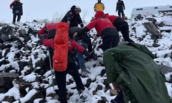 Kars'ta yoğun tipi nedeniyle çobanlar yollarını kaybedip mahsur kaldı