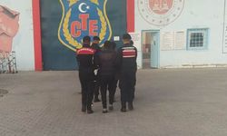 Malatya'da terör operasyonunda 2 tutuklama