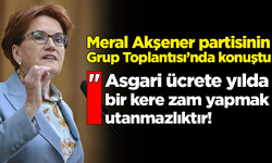 Meral Akşener: Asgari ücrete yılda bir kere zam yapmak utanmazlıktır