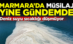 Marmara'da müsilaj tehlikesi yine gündemde! Suyun sıcaklığı düşmüyor
