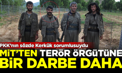 MİT'ten PKK'ya bir darbe daha! Örgütün üst düzey ismi öldürüldü