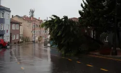 İstanbul'da sağanak ve fırtına: Sarıyer'de ağaçlar yola devrildi