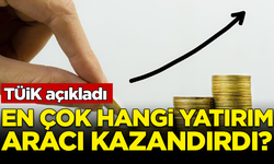 TÜİK en çok kazandıran yatırım aracını açıkladı!