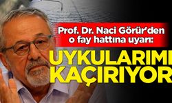 Naci Görür'den o fay hattına uyarı: Uykularımı kaçırıyor