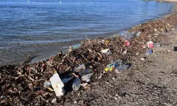 Bodrum'da sağanak yağış sonrası sahillerde kirlilik arttı