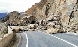Artvin'de düşen kayalar Artvin-Ardahan yolunu kapattı