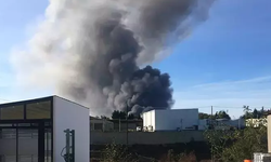 Giresun'da balık fabrikasında yangın! Ekipler bölgeye sevkedildi