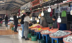 Denizlerimizdeki hamsi bolluğu fiyatlara yansıdı, vatandaşın yüzü güldü