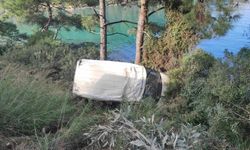 Bodrum'da kaza yapan minibüsteki 7 kişiyi denize düşmekten çam ağacı kurtardı